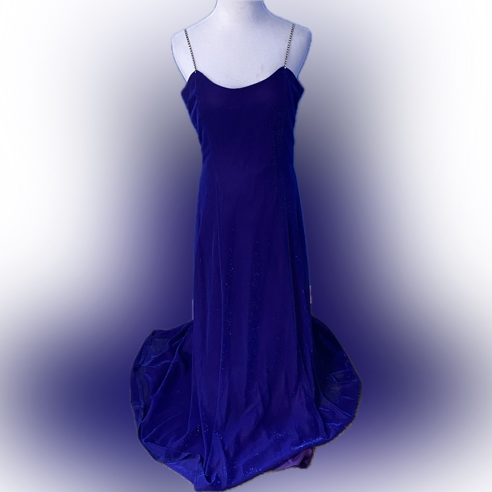Scott McClintock Blue and Purple Dress (10)